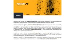 Desktop Screenshot of kelschlab.com