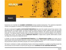 Tablet Screenshot of kelschlab.com